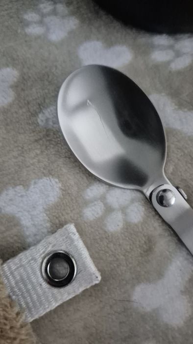 Izolowany pojemnik na lunch