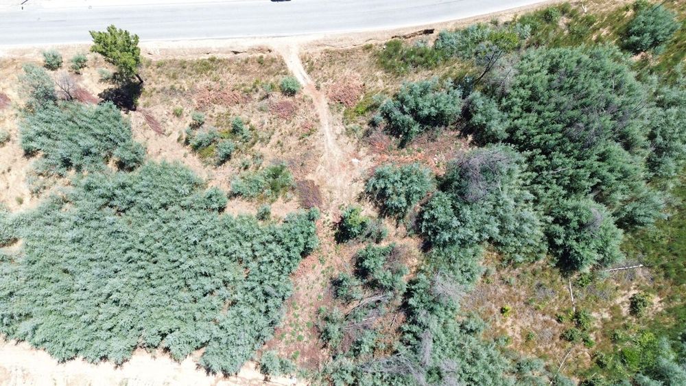 Terreno em Gonçalo, Guarda