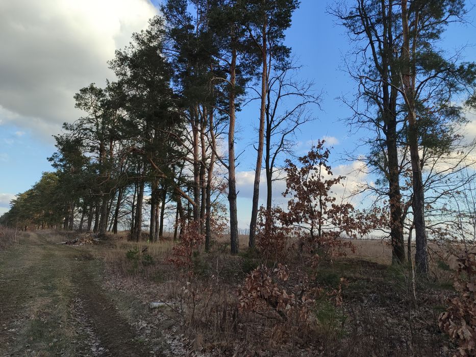 Земельна ділянка