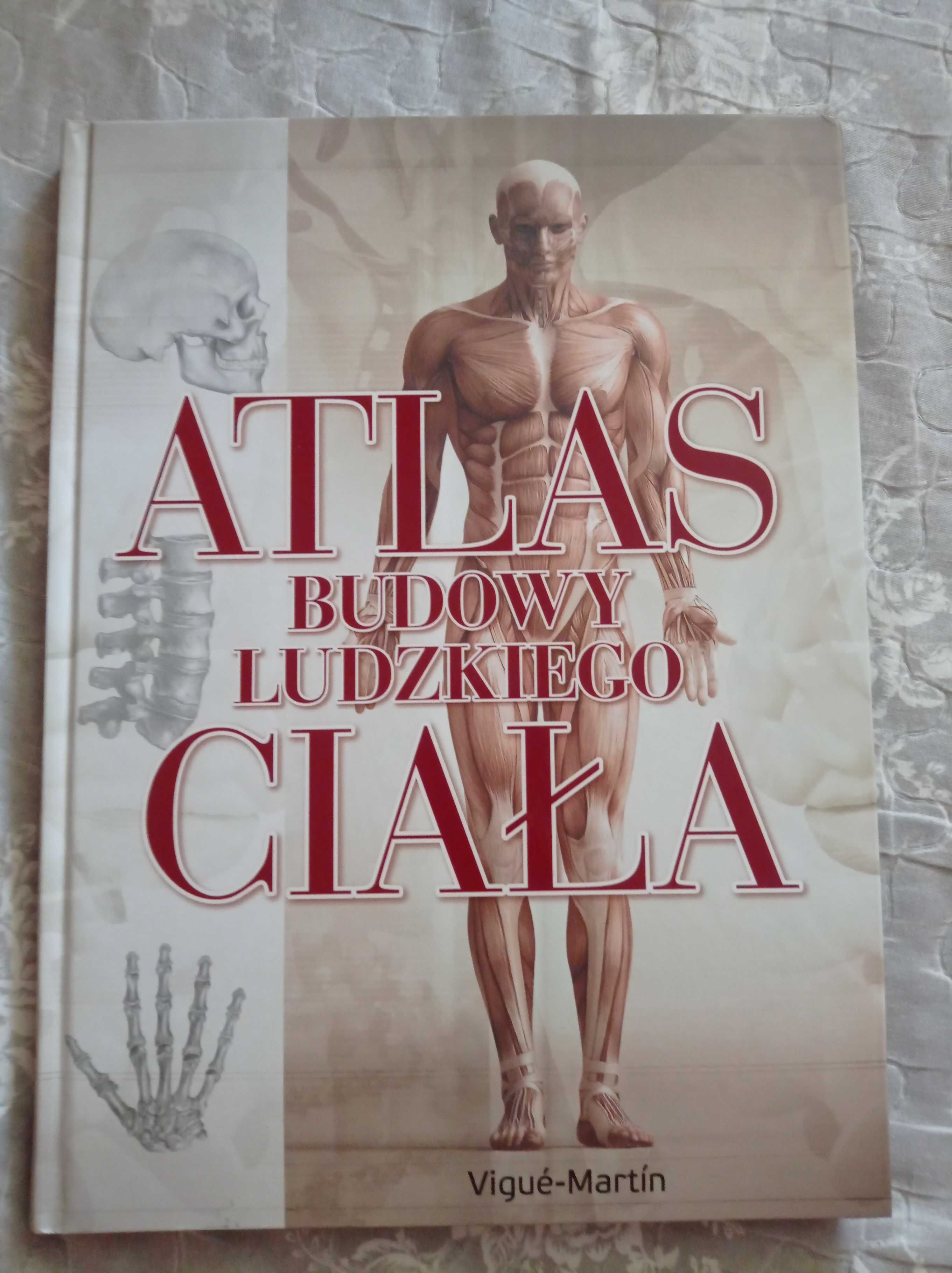 Atlas anatomiczny