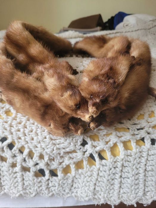 Kołnierz, szalik  futrzany  z nutrii