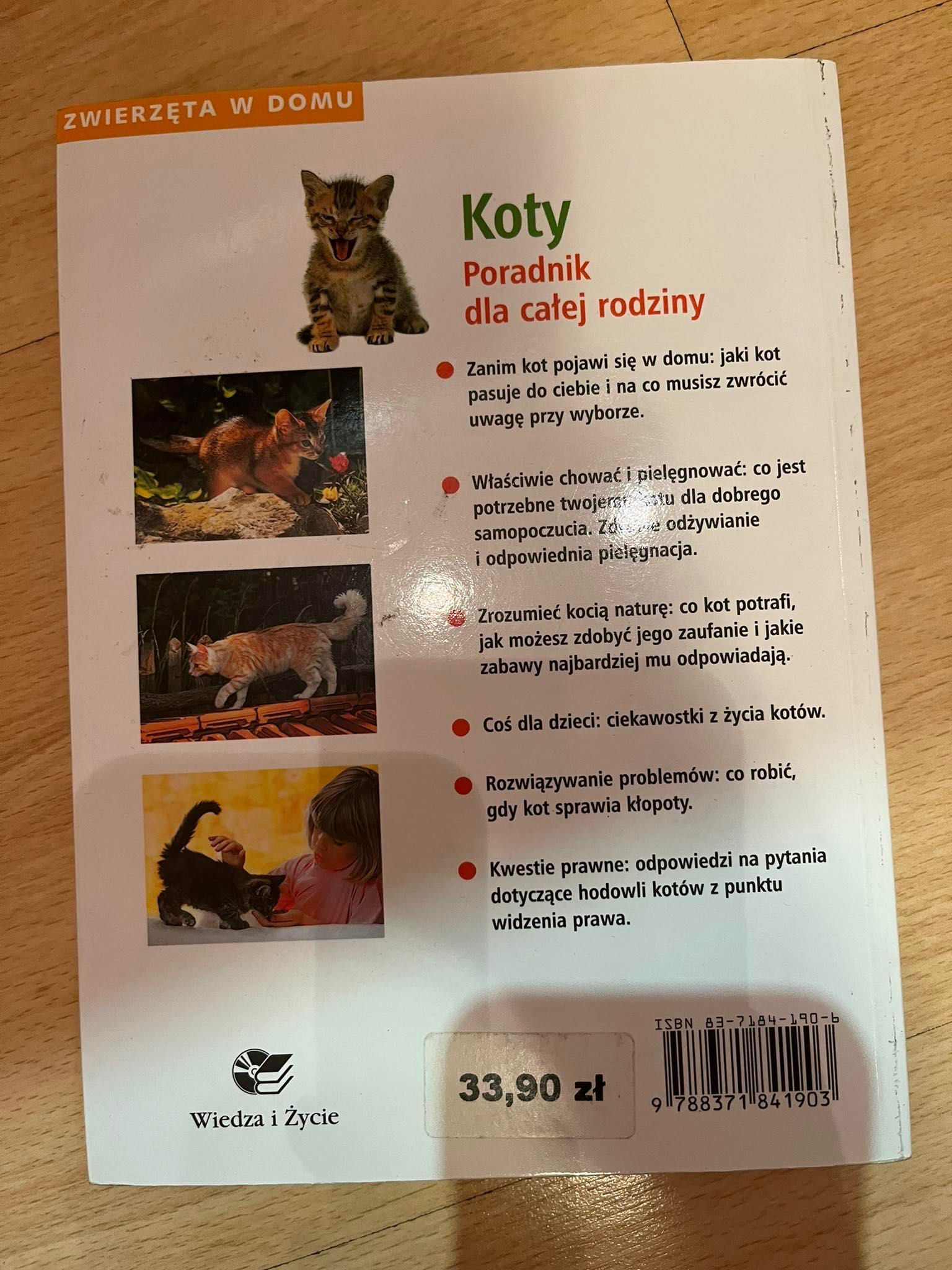 Poradnik z cyklu Zwierzęta w domu "Koty"