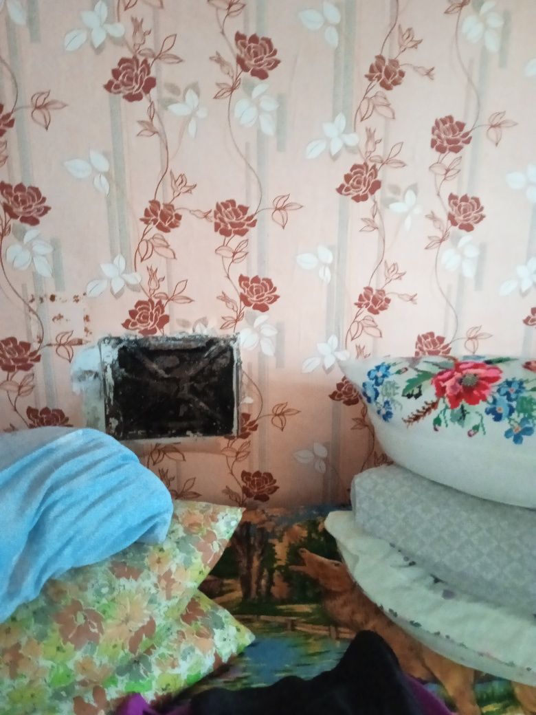 Будинок в с.Ташань