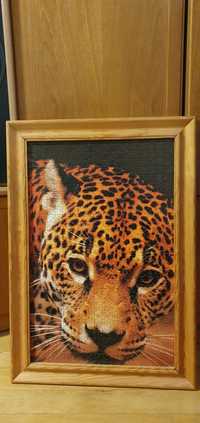 Obraz ułożone puzzle 69x48,5cm jaguar pantera