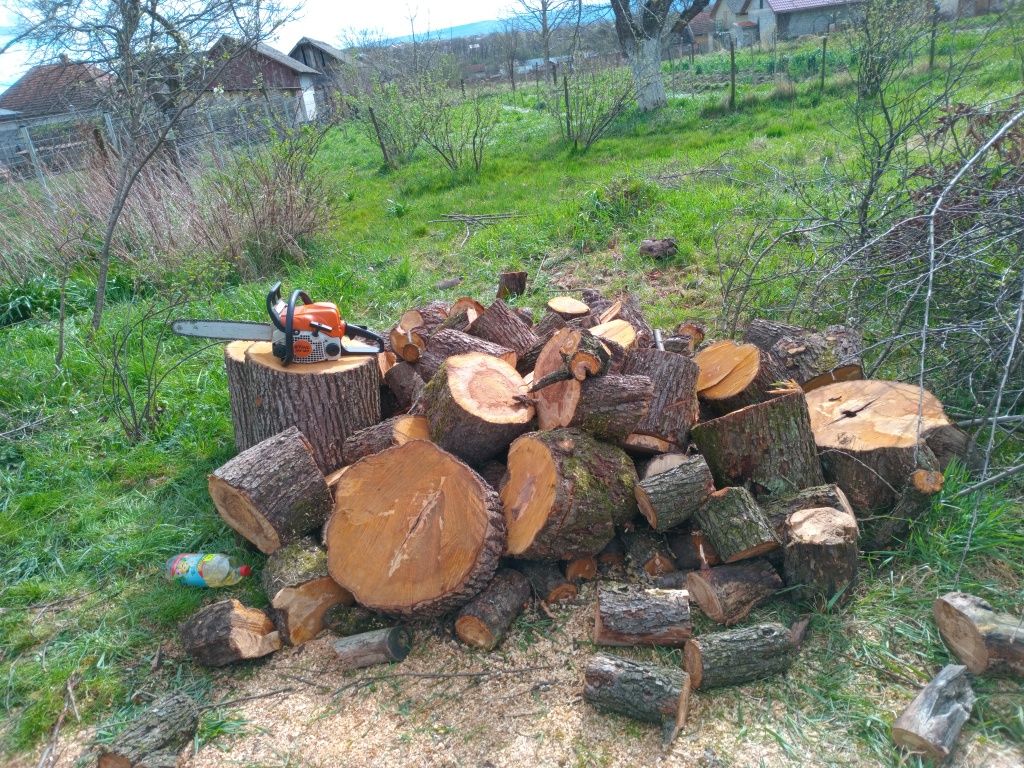 Послуга різки дерев, та косіння трави