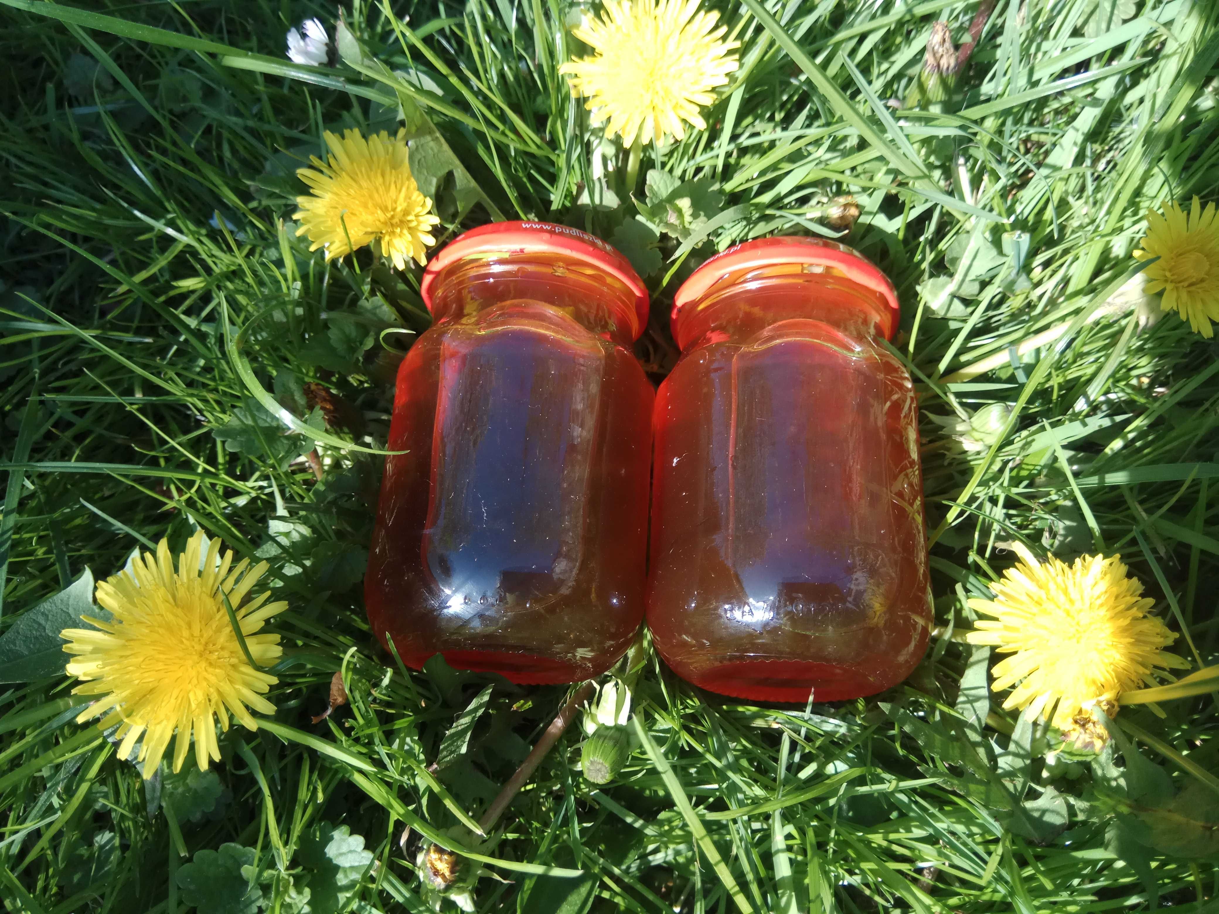 syrop z mniszka lekarskiego 200ml