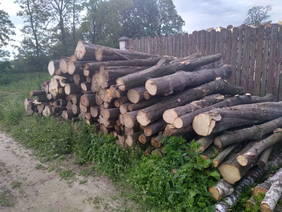 Drewno drzewo opałowe dąb brzoza sosna buk
