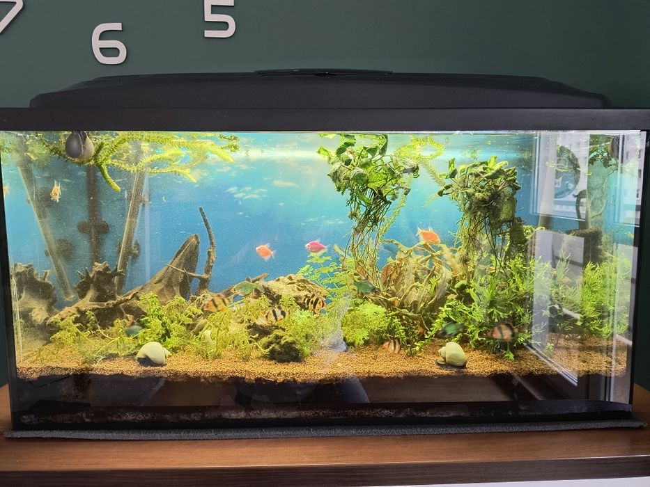 Akwarium 112 l., zestaw z filtrem , pokrywą,lampami, grzałką