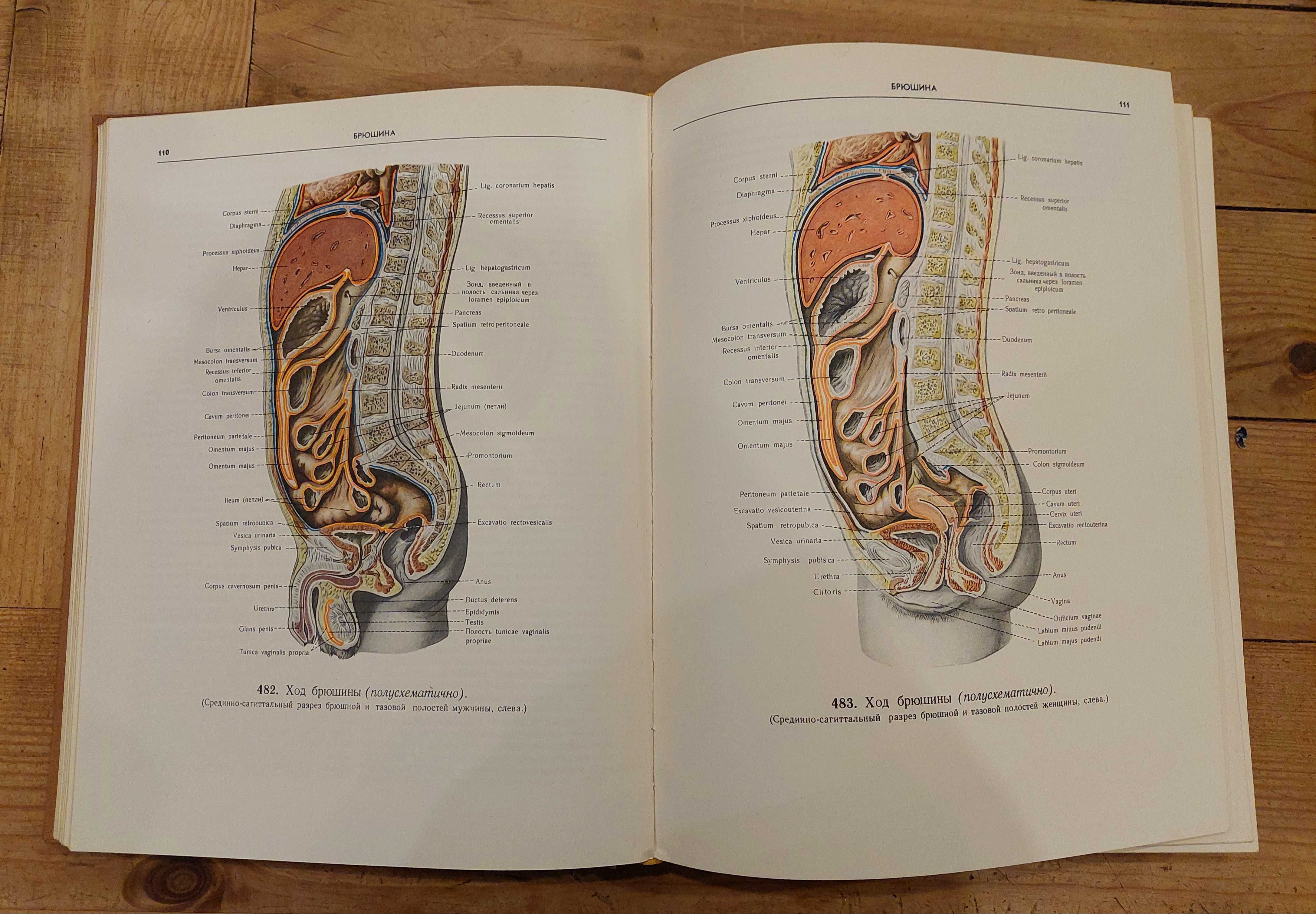 Atlas anatomii człowieka (trzy tomy), R.D. Sinielnikow