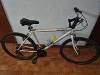 Bicicleta big mount