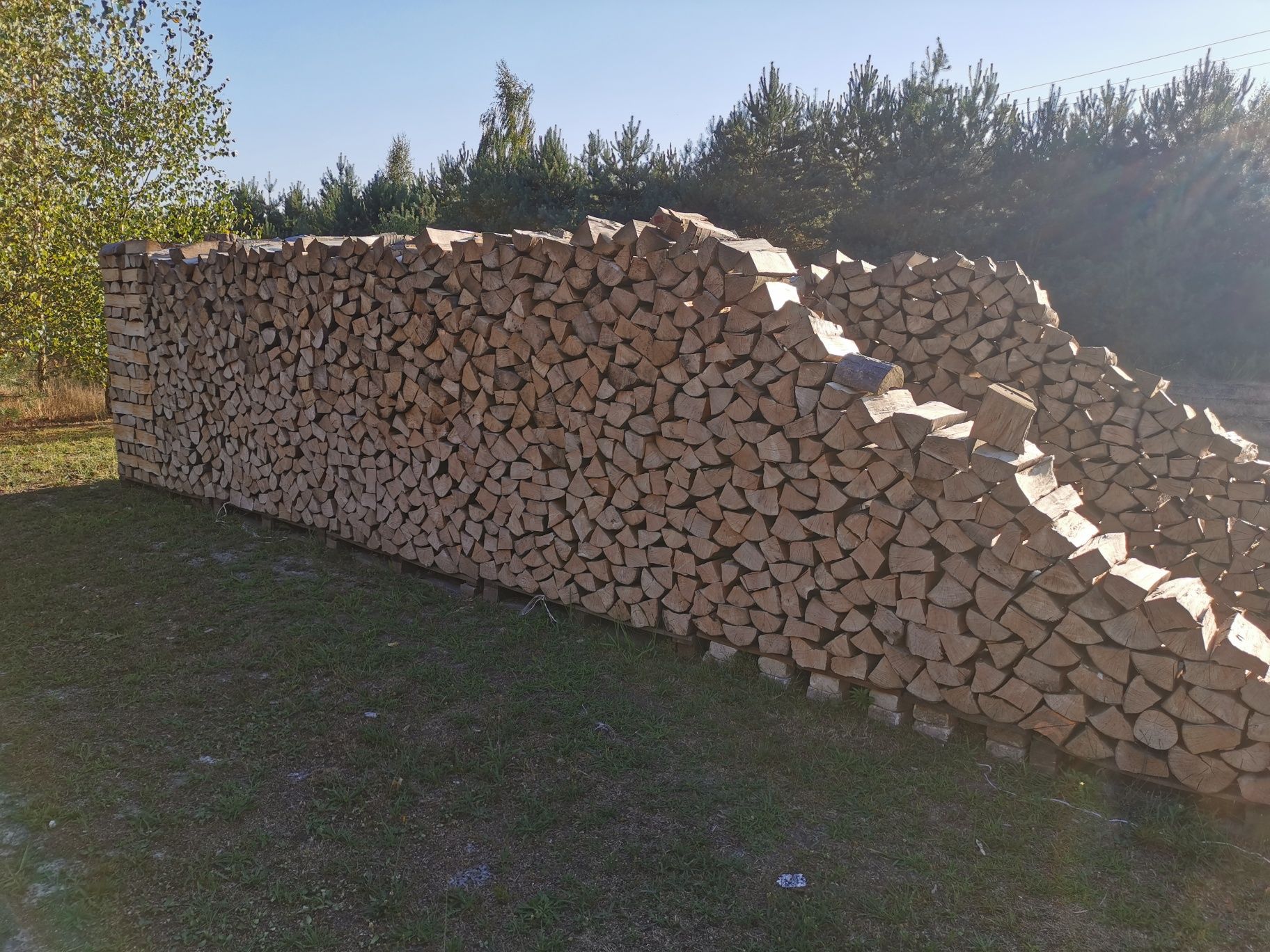 Drzewo kominkowe, opałowe