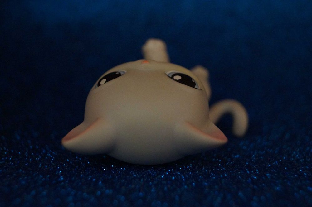Littlest Pet Shop LPS #246 shorthair oryginalny cat pop Hasbro