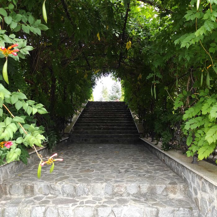 Продажа будинку на ділянці 1,5 га в Новосілках, озеро, Вишгородский