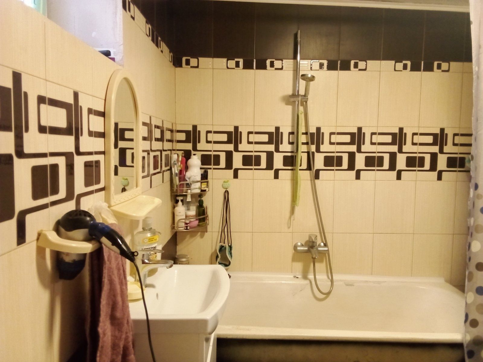 Продаю  будинок в с. Пристанційне