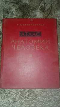 Атлас анатомии человека Р.Д.Синельников