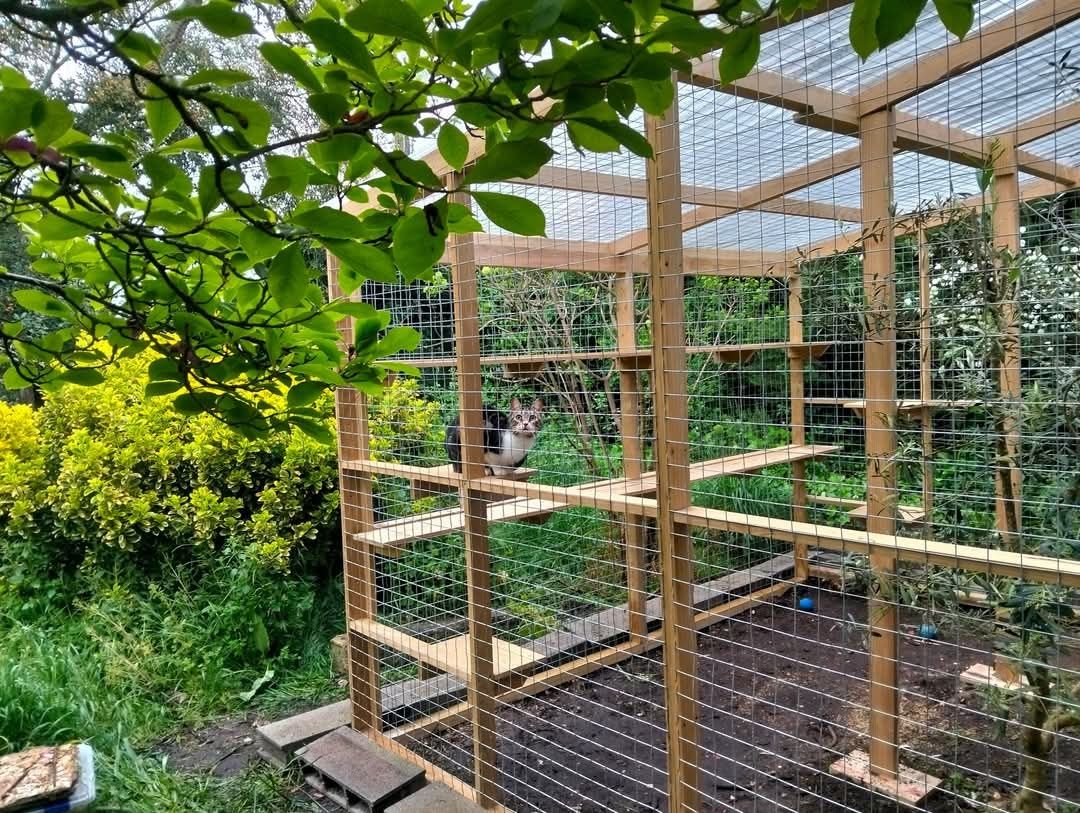 Parque exterior para gatos / Catio / CatCage / Casa para gatos