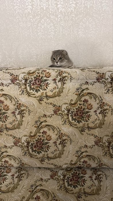 Розкладний диван + крісло