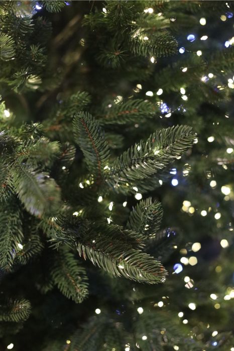 Ялинка лита 1,8 - 2.3 м