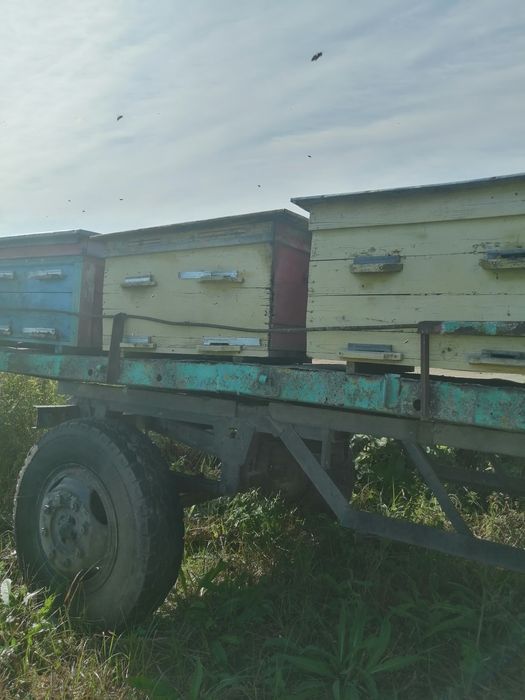 Продам два причіпи для пасіки