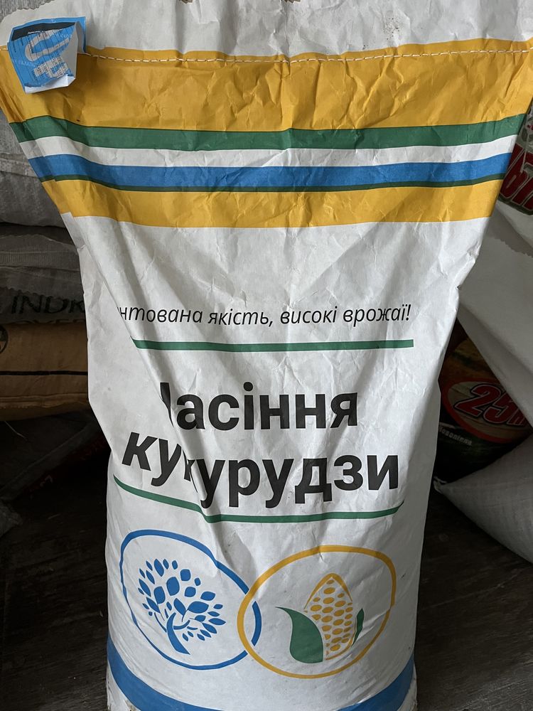 Продам насіння кукурудзи дБ Хотин