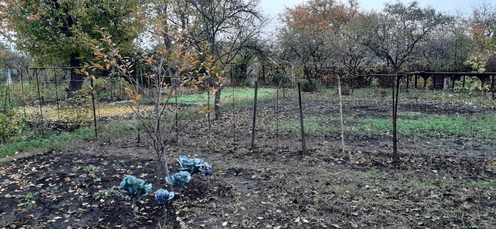 Дача, Хіммістечко