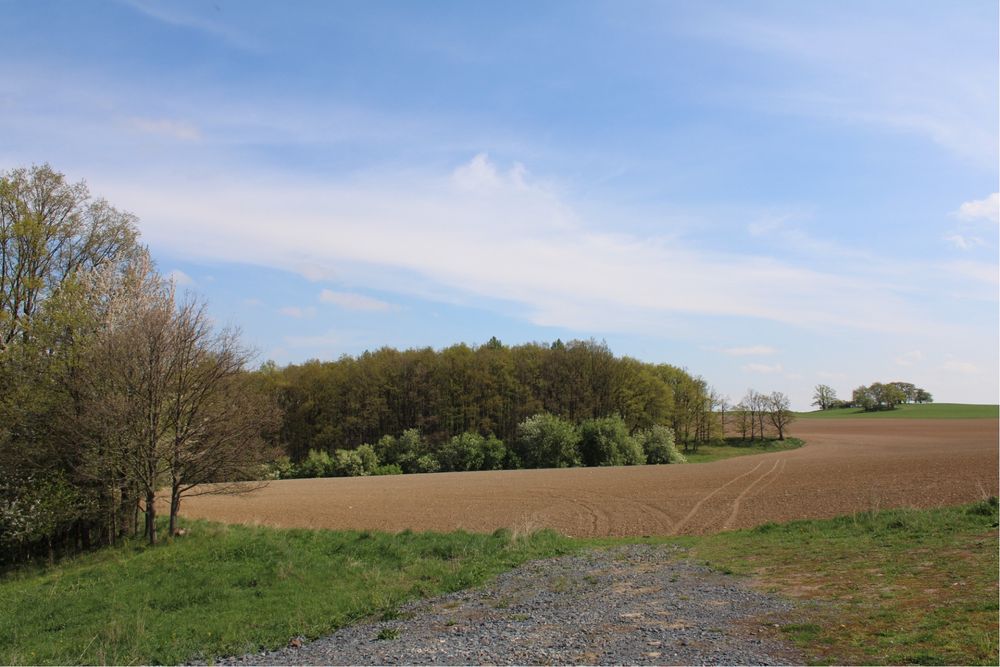 Fotografia okolicznościowa