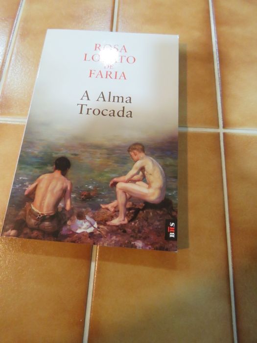 Obras Rosa Lobato Faria