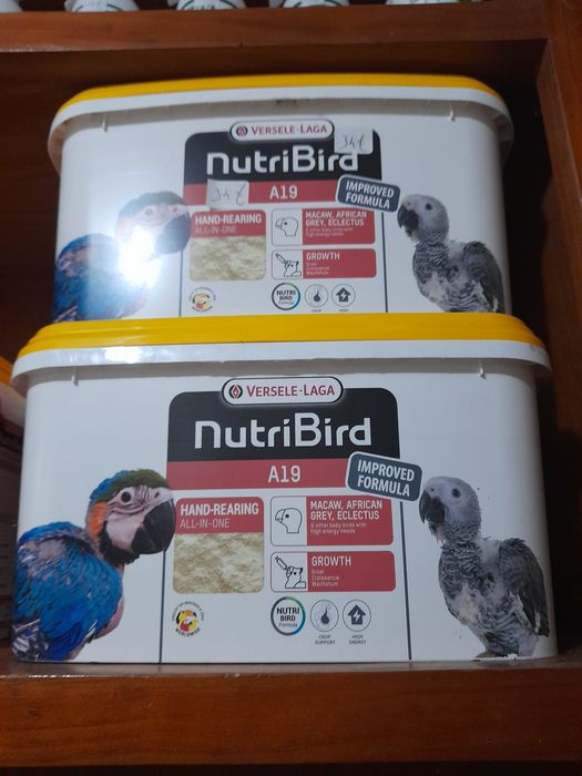 A19 ou A21  Balde de 3 kg a 32.50 euros
