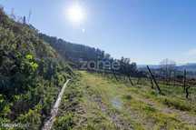 Quinta de Cimo de Vila, em Vila Verde, Felgueiras, c/ vinha em 4,6h