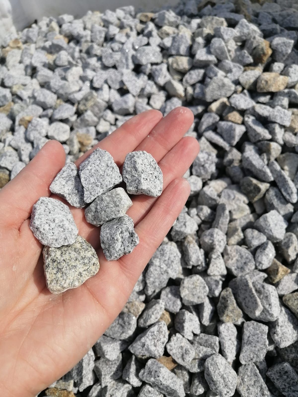 Grysy ozdobne z dostawą kamień naturalny biały, czarny, dalmatyńczyk