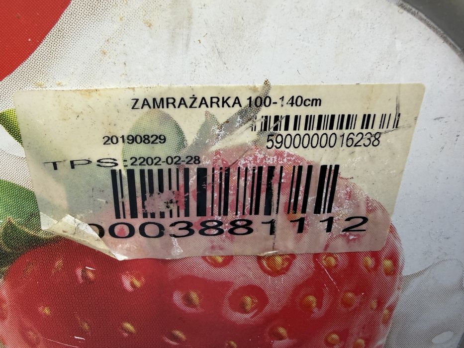 Lodowka gastronomiczna na lody i mrozonki