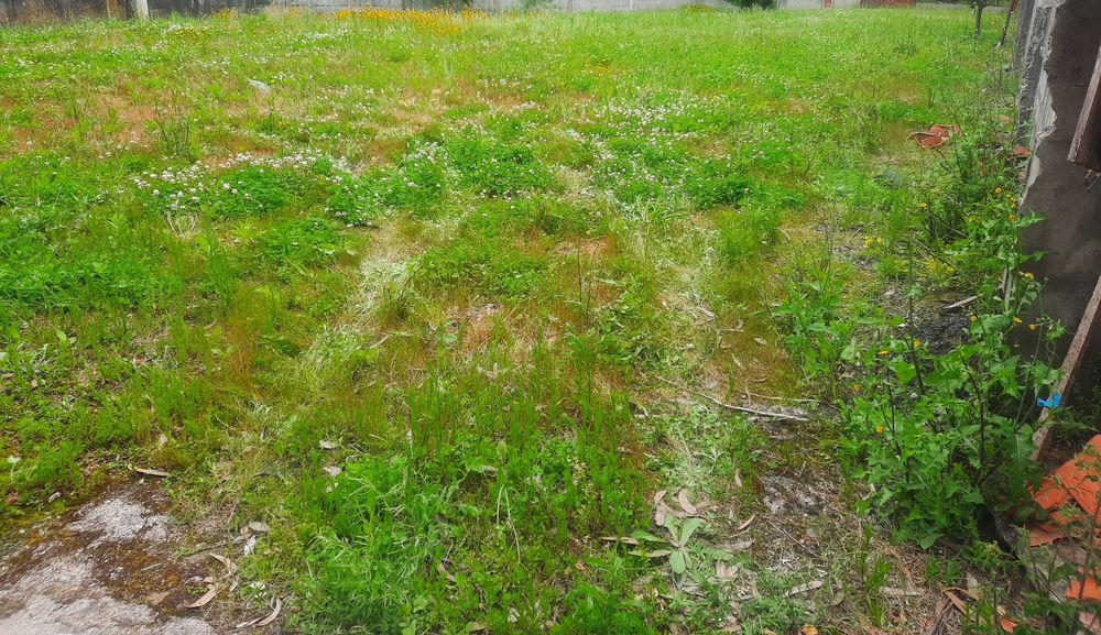 Limpeza de terrenos com Roçadora