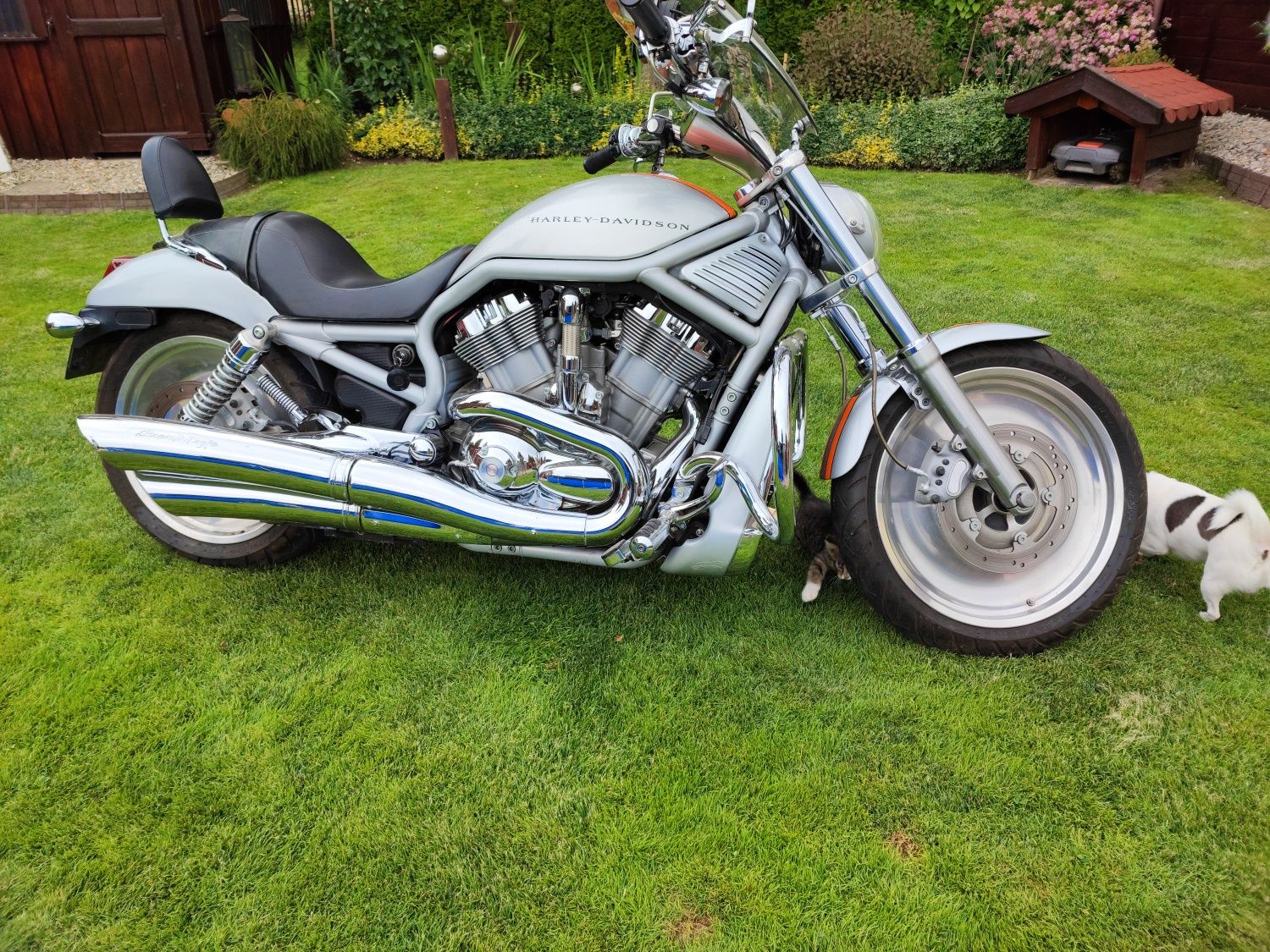 Harley Davidson V-Rod