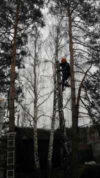 Видалення аварійних дерев Благоустрій Демонтаж