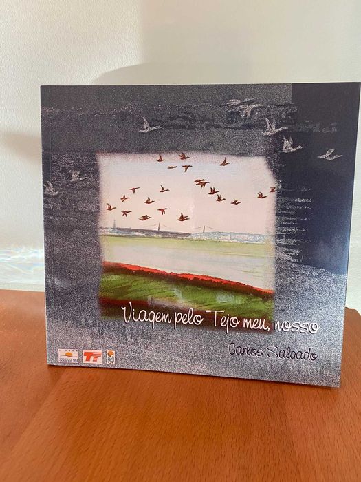 Viagem pelo Tejo meu, nosso - Carlos Salgado