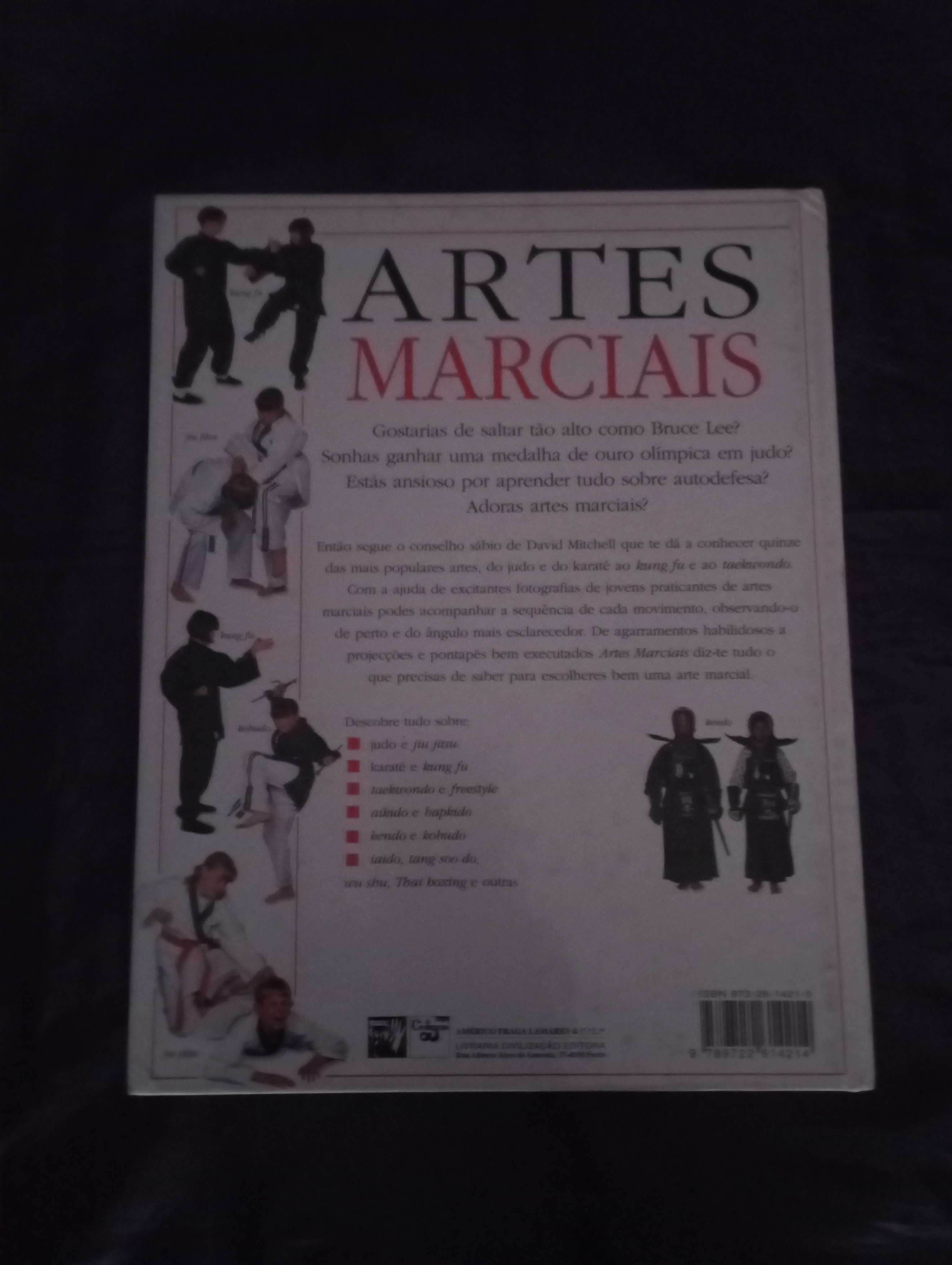 Artes Marciais - David Mitchell