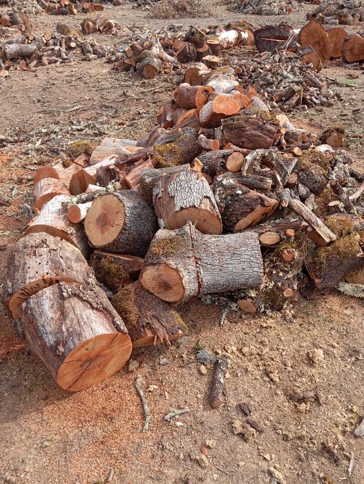 Lenha de azinho para venda