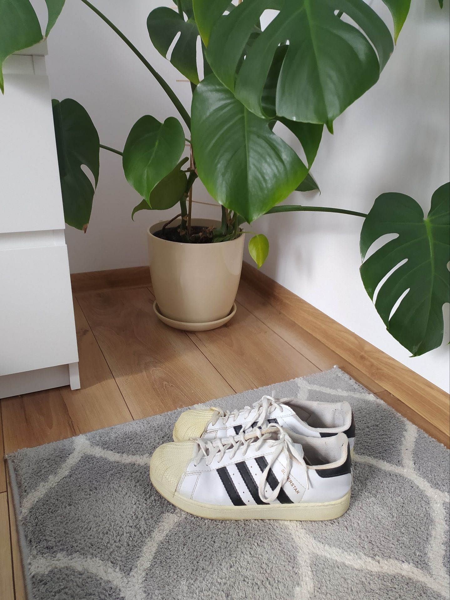 Sneakersy adidasy Adidas Superstar rozm. 38