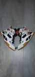 Reebok The Pump Mens Blacktop Battleground Tribal