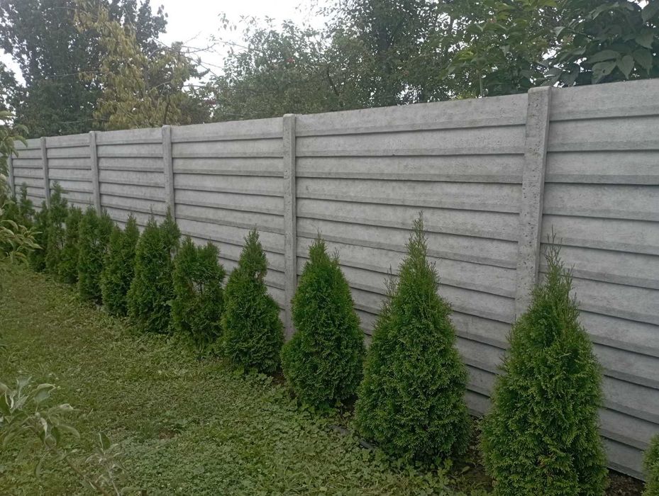 Бетонний забор, з профнастилу ворота, стовпчики, кільця, напівсфери
