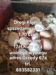 Jajka kurze z wolnego wybiegu od szczęśliwych kur.