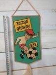 Proporczyk zarząd główny. SZS