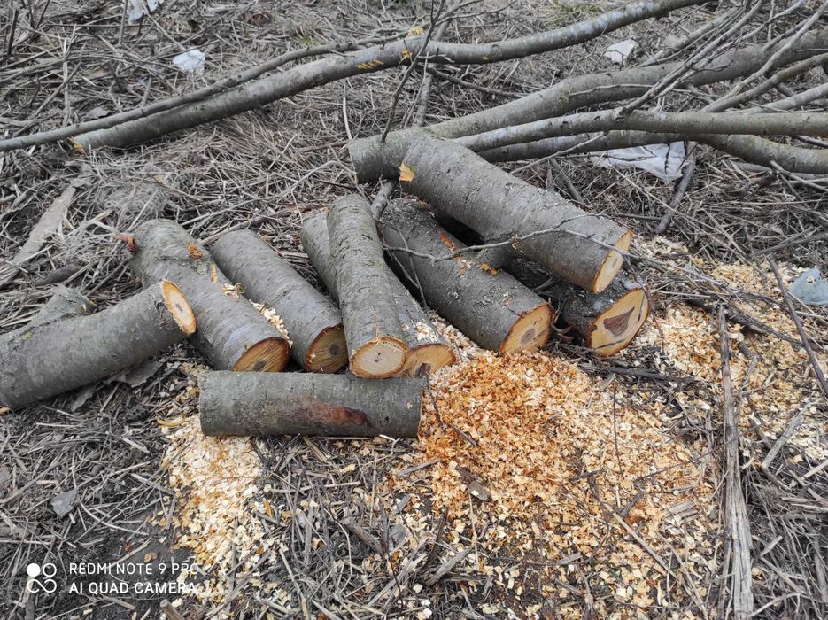 Акамуляторна пила щоточна  18 вольт комплект на фото .