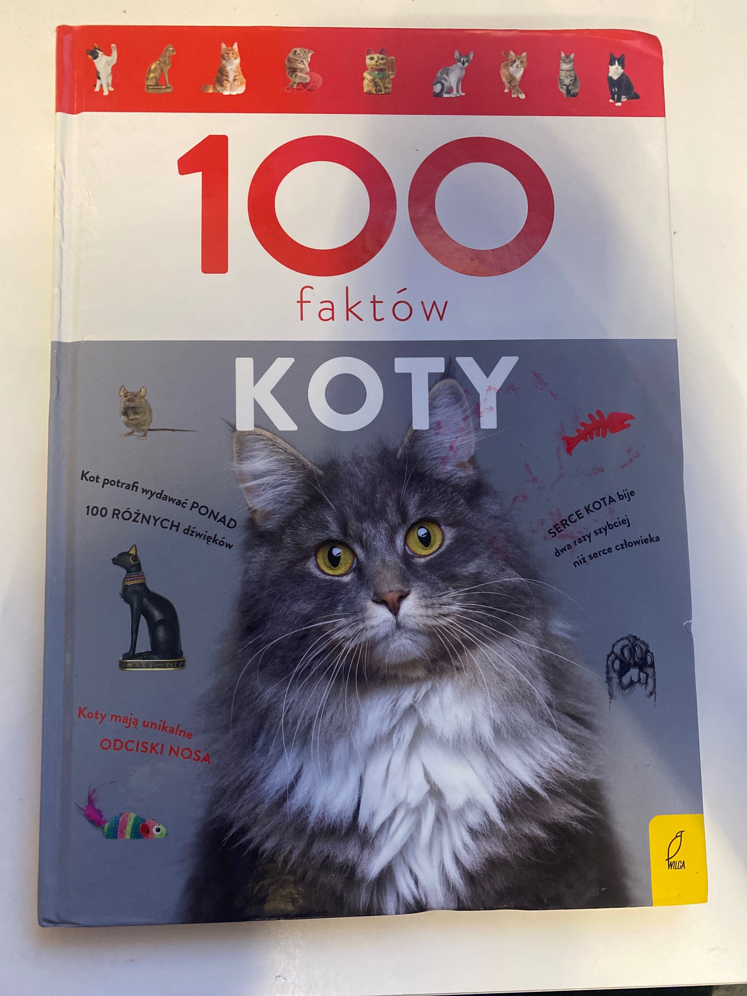 100 faktów o kotach