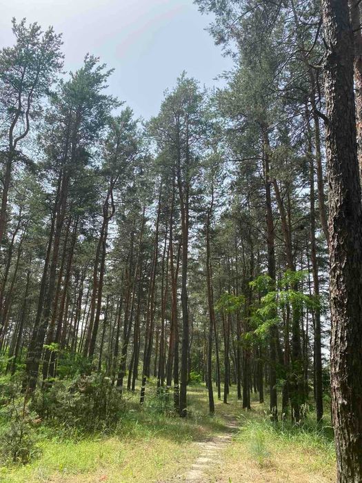 Продам участок в пос.Обуховка