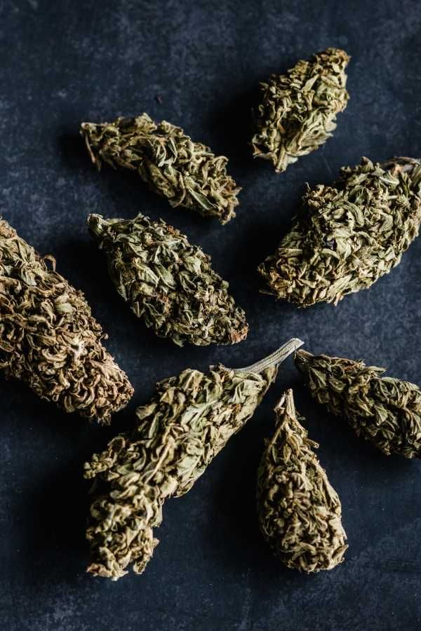 Legalny susz konopny CBD 1g