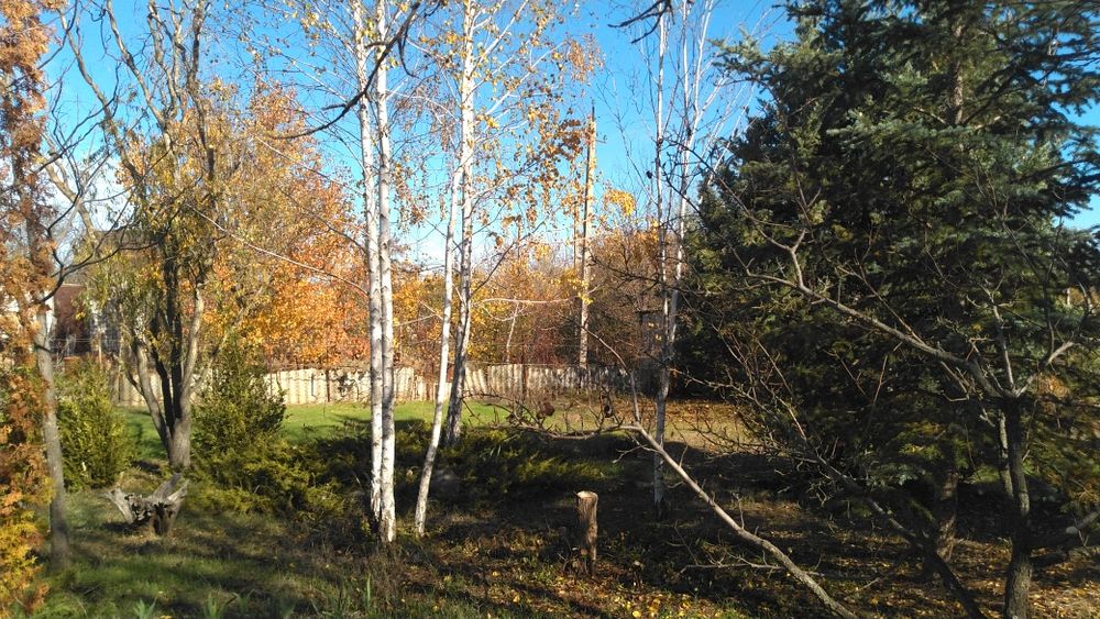 Садова ділянка 8 соток з будинком, Пересадівка, СТ "Трикотажник"