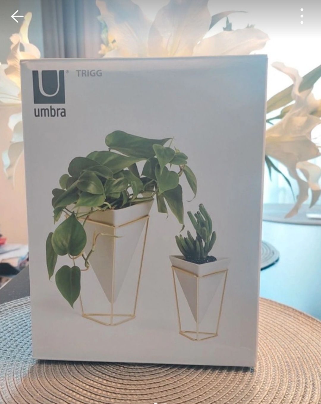 Umbra Trigg doniczka pojemnik pudełko nowe