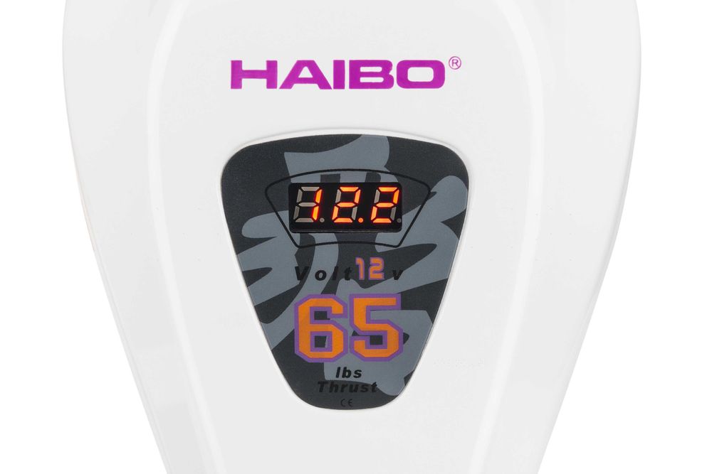 Silnik zaburtowy elektryczny HAIBO D 65 lbs 12V do łodzi, pontonu