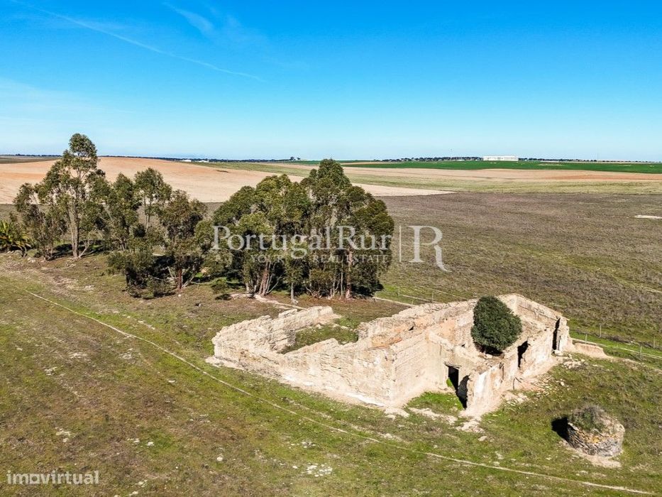 Quinta de 7 hectares com ruínas e potencial turístico